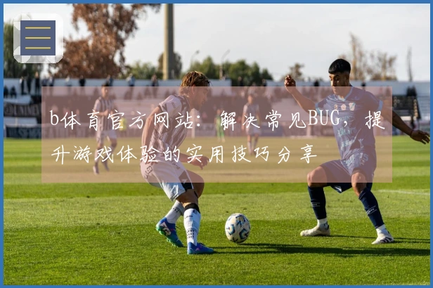 b体育官方网站：解决常见BUG，提升游戏体验的实用技巧分享