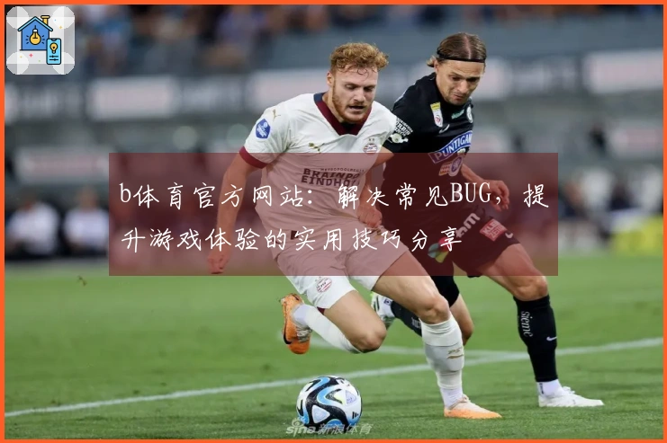 b体育官方网站：解决常见BUG，提升游戏体验的实用技巧分享